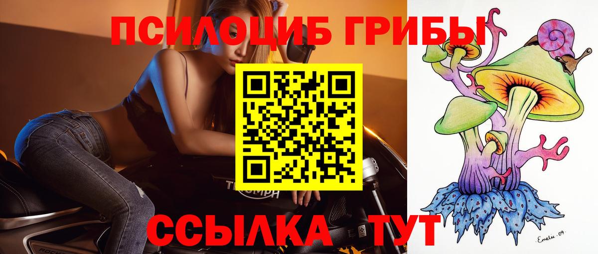 Псилоцибиновые грибы Psilocybine cubensis  наркотики  Горно-Алтайск  Вход с VPN 